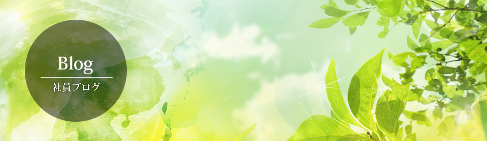 社員ブログ