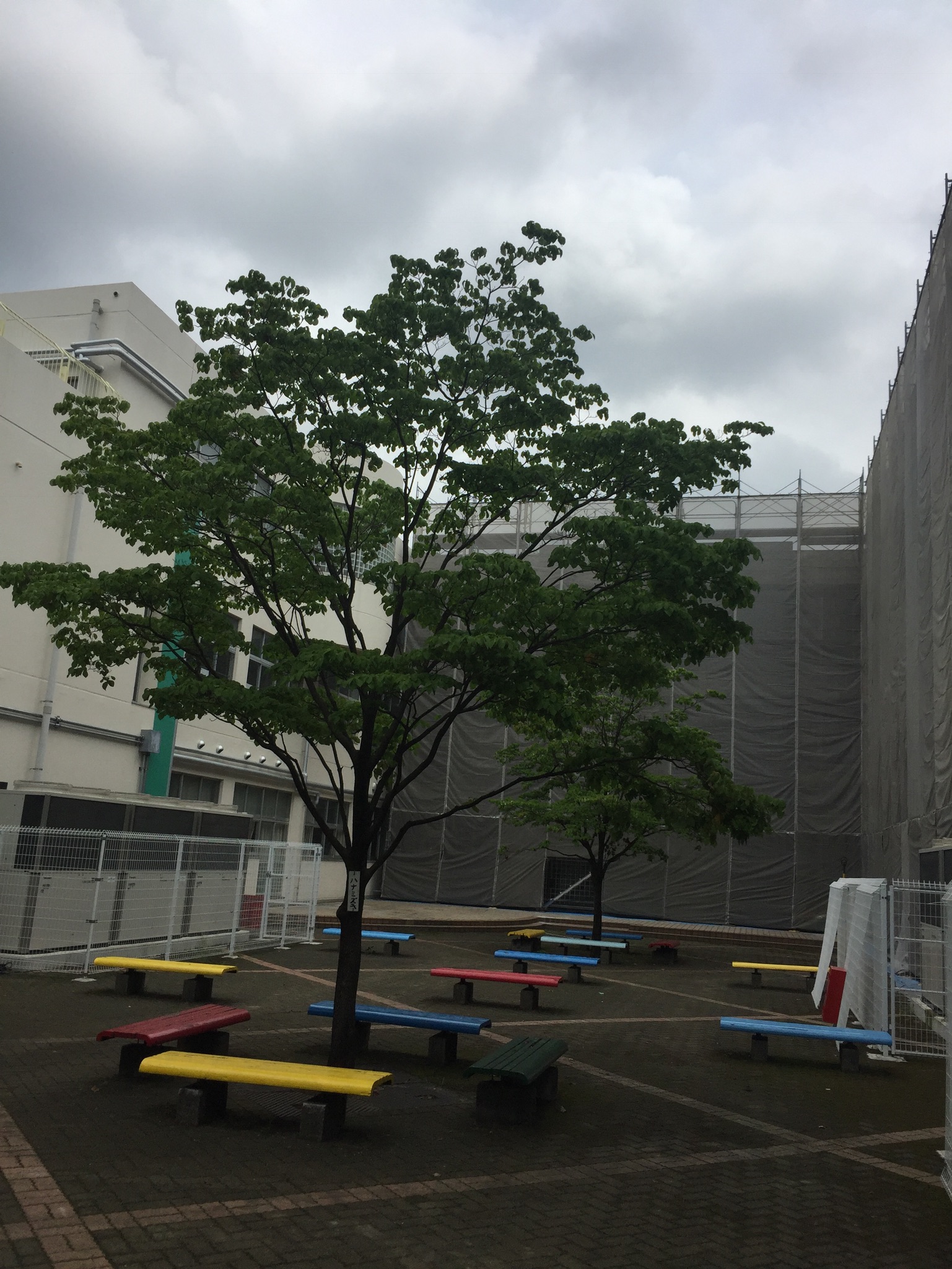埼玉県川口市小学校改修工事 先行先送り式足場組立状況